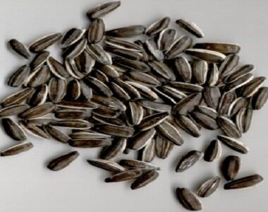 SUNFLOWER SEEDS
