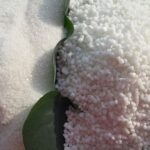 Ammonium Sulphate Fertilizer